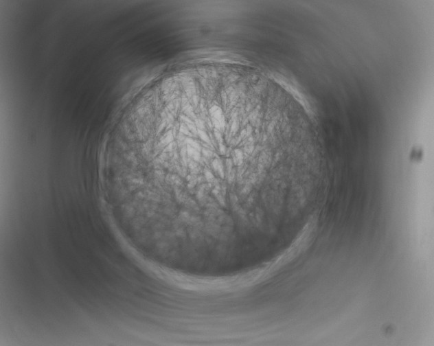 X0000116590014201001211335