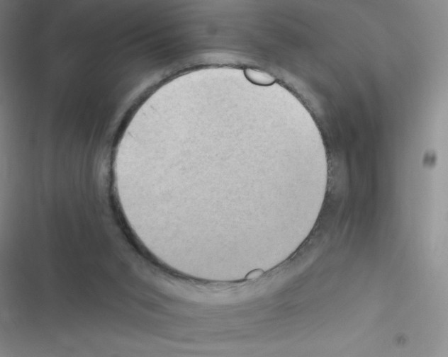 X0000116590015201001211335