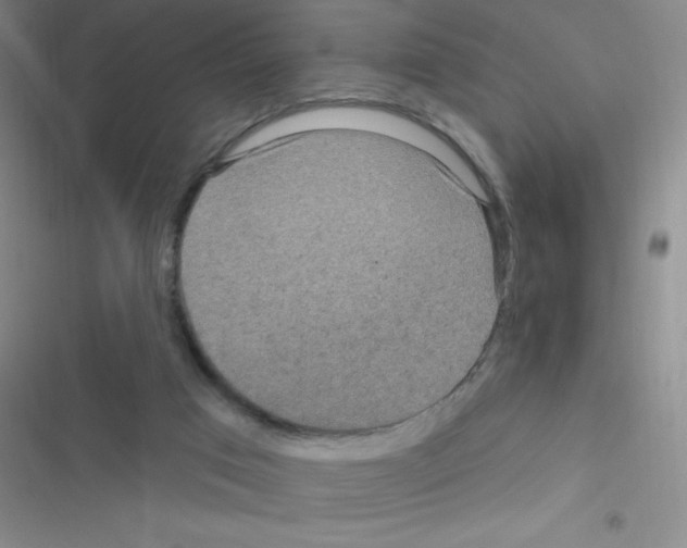 X0000116590017201001211335