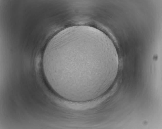 X0000116590018201001211335