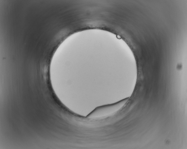 X0000116590019201001211335