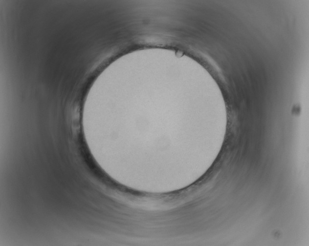 X0000116590020201001211335