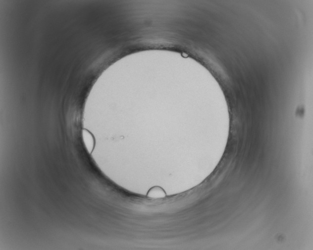 X0000116590021201001211335