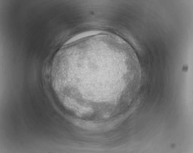 X0000116590022201001211335