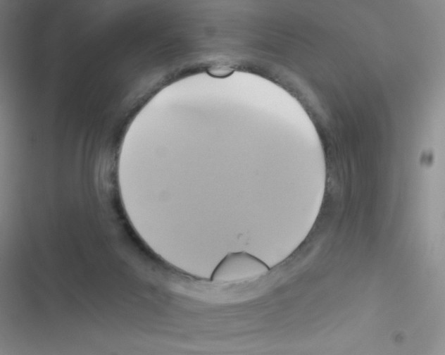 X0000116590023201001211335