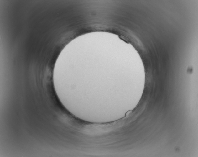 X0000116590025201001211335