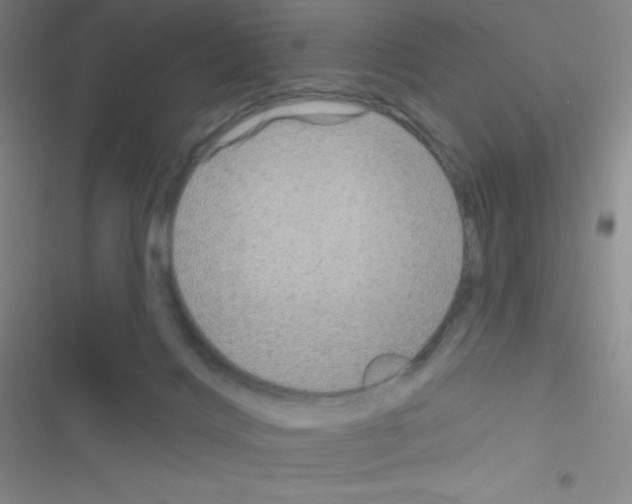 X0000116590028201001211335