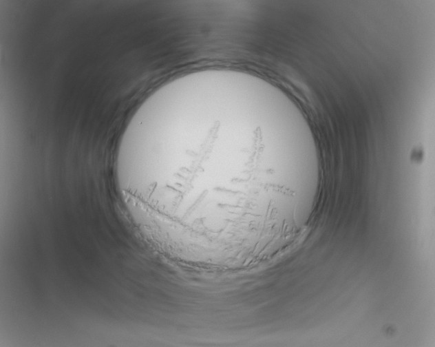 X0000116590029201001211335