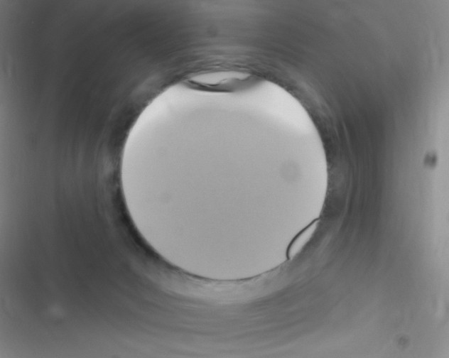 X0000116590031201001211335