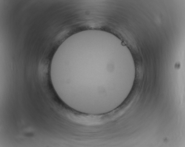 X0000116590032201001211335