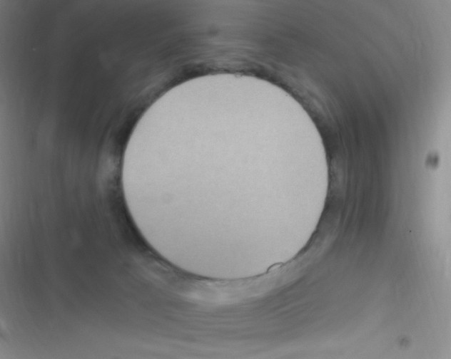 X0000116590033201001211335