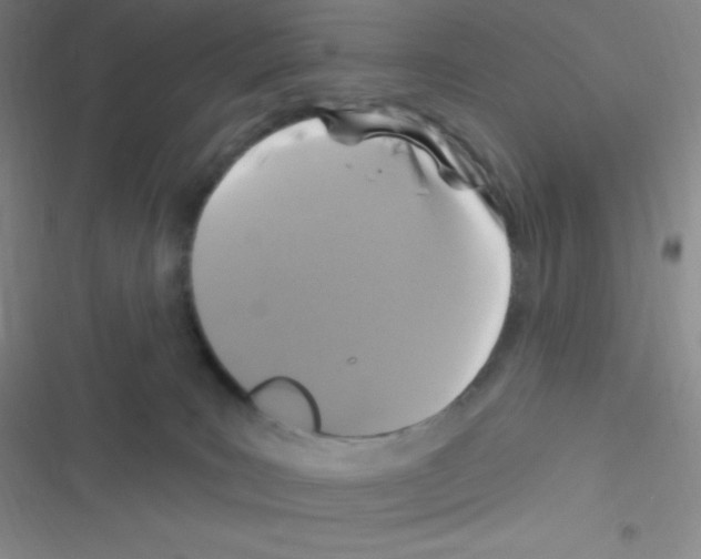 X0000116590035201001211335