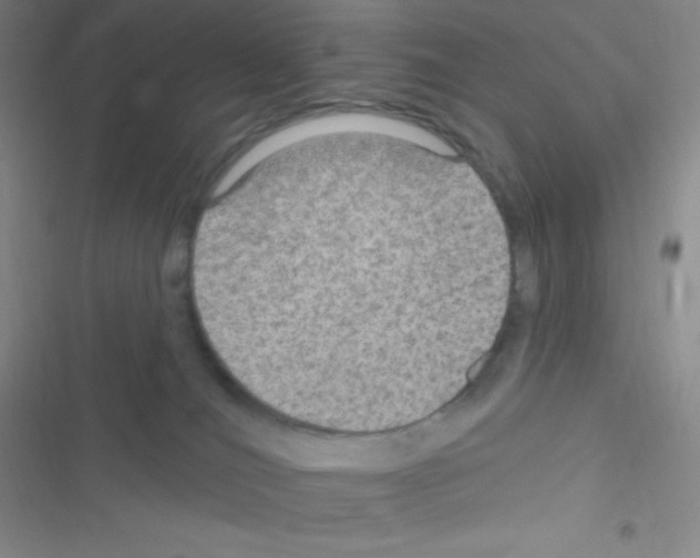 X0000116590036201001211335