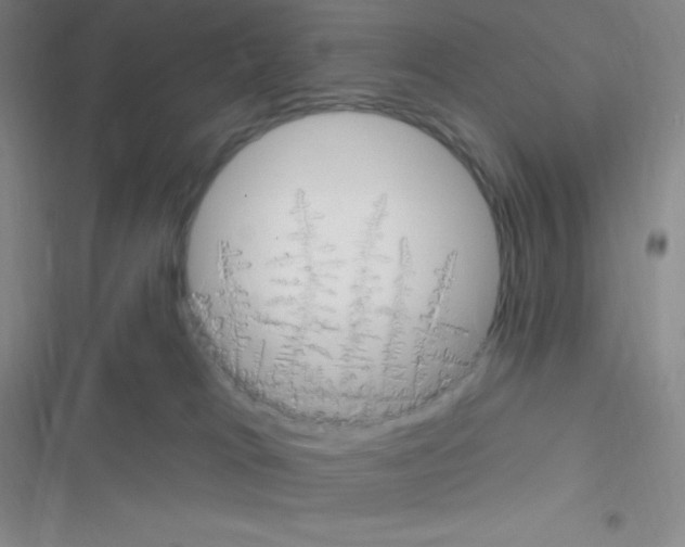 X0000116590037201001211335