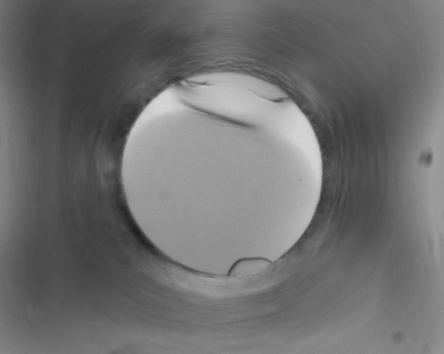 X0000116590039201001211335