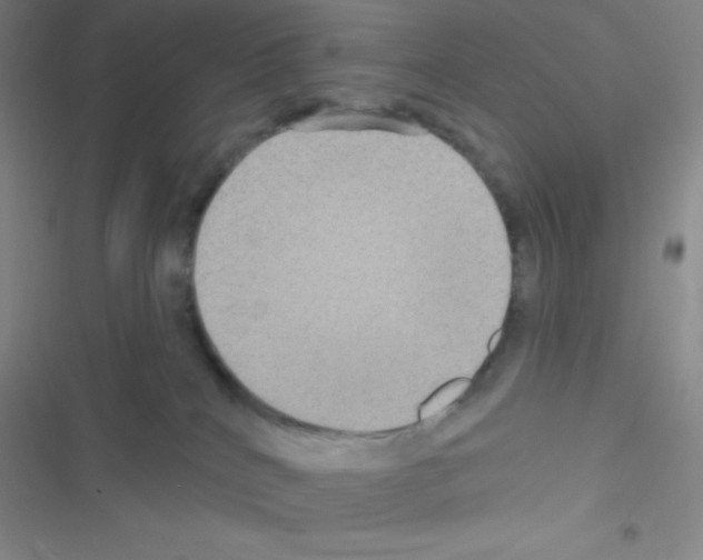 X0000116590040201001211335