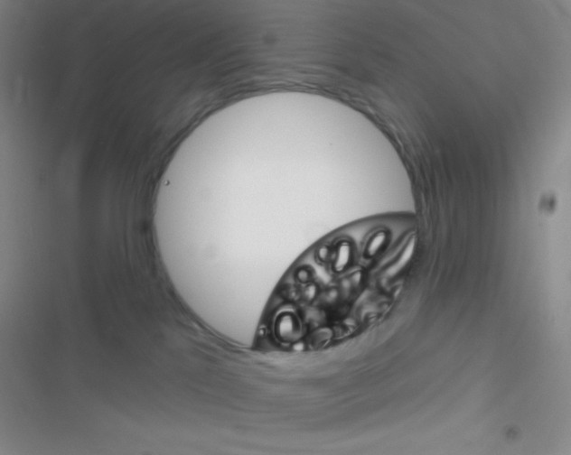 X0000116590041201001211335