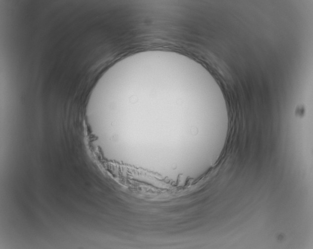 X0000116590043201001211335