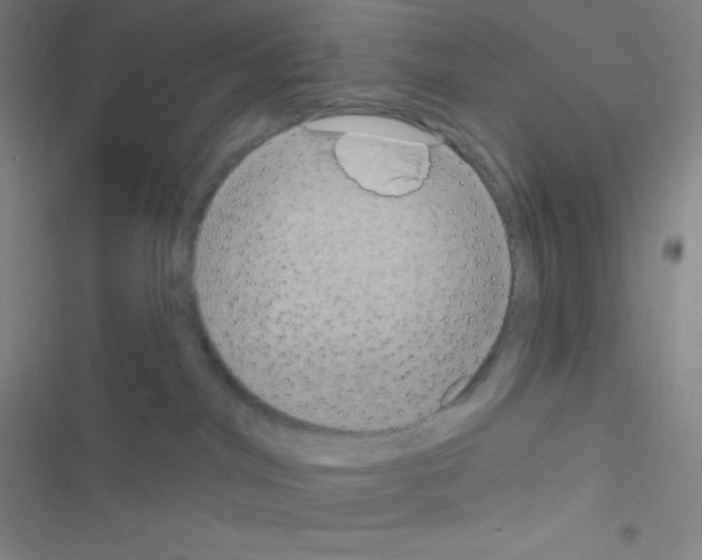 X0000116590044201001211335