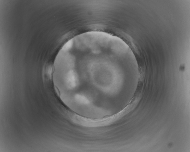 X0000116590047201001211335