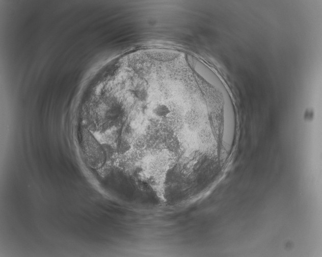 X0000116590049201001211334