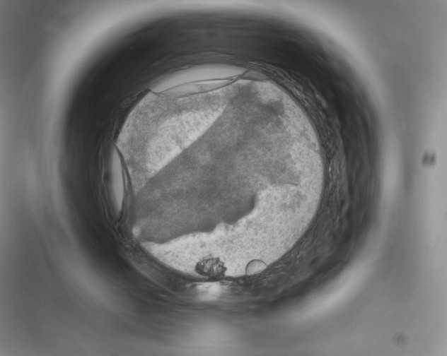 X0000116590050201001211334