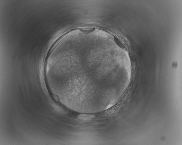 X0000116590051201001211334