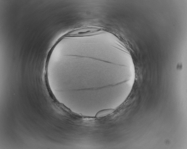 X0000116590052201001211334