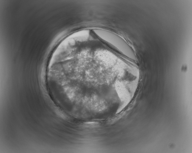 X0000116590053201001211334