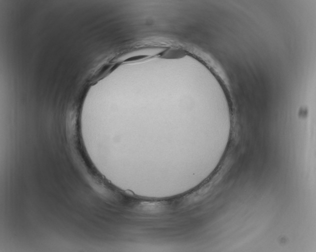 X0000116590057201001211334