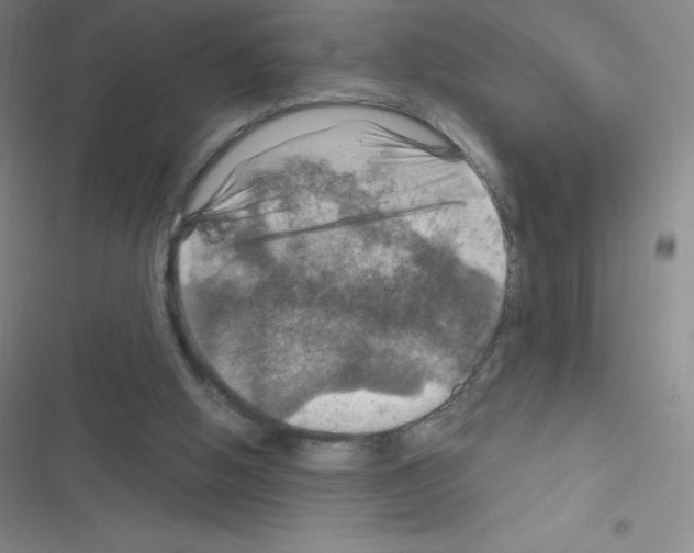 X0000116590058201001211334