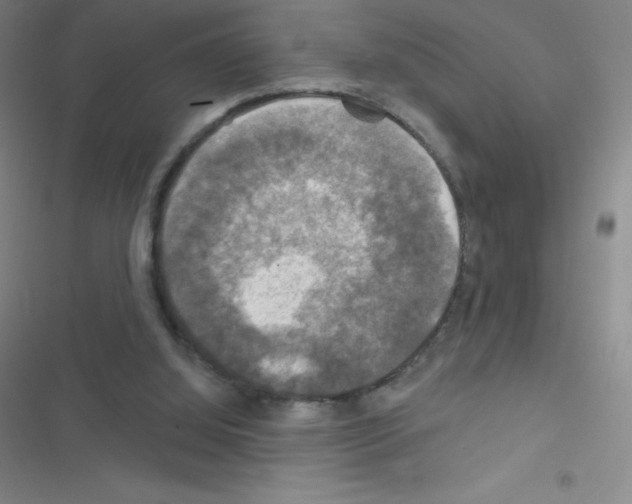 X0000116590060201001211334