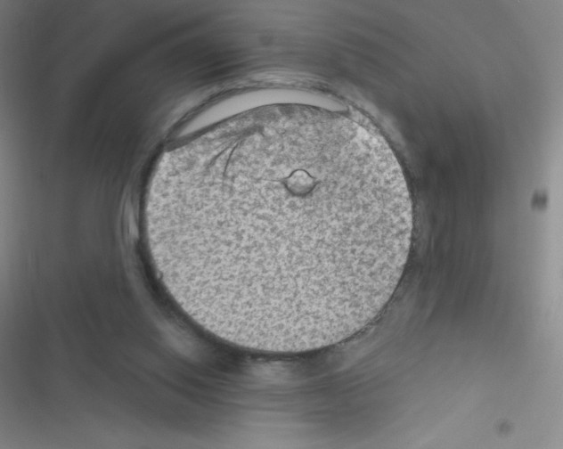 X0000116590062201001211334