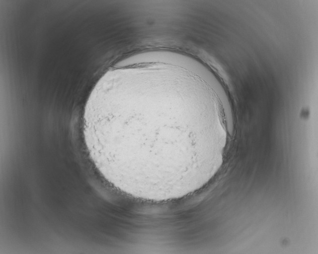 X0000116590065201001211335