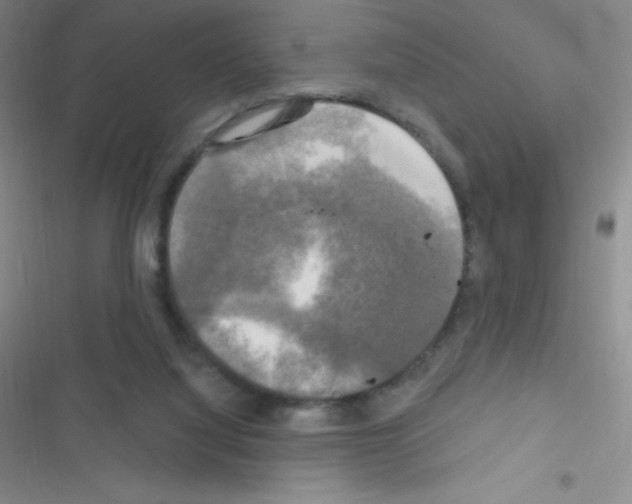 X0000116590068201001211335