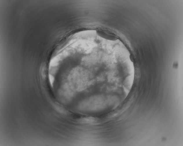 X0000116590069201001211335