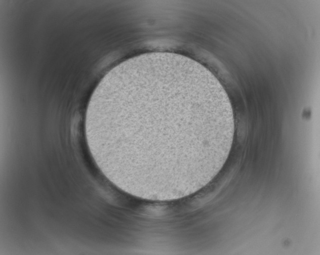 X0000116590071201001211335