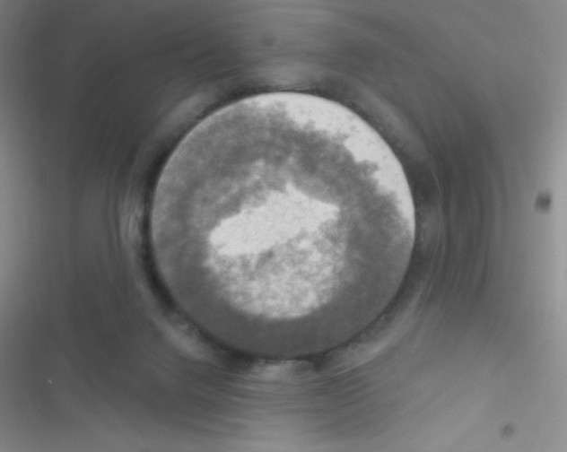 X0000116590072201001211335