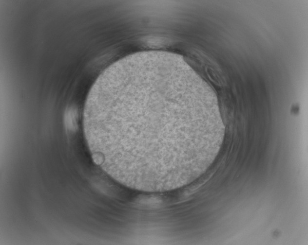 X0000116590075201001211335