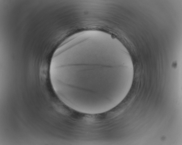 X0000116590076201001211335