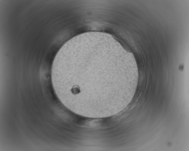 X0000116590078201001211335