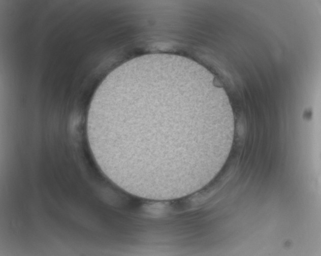 X0000116590079201001211335