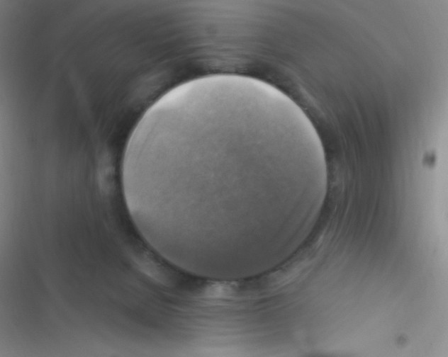 X0000116590080201001211335