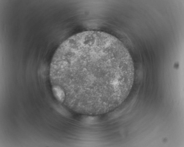 X0000116590081201001211335