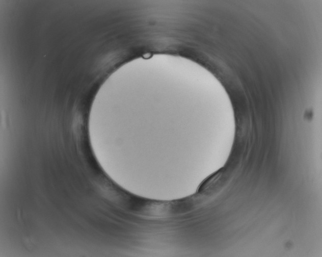 X0000116590084201001211335