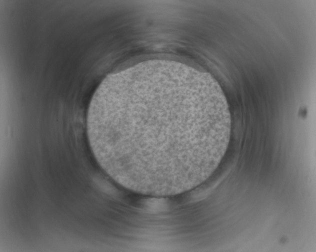 X0000116590085201001211335