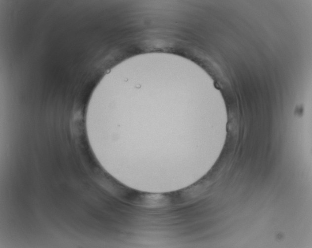 X0000116590087201001211335