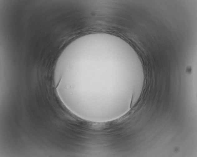 X0000116590088201001211335