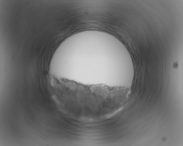 X0000116590089201001211335