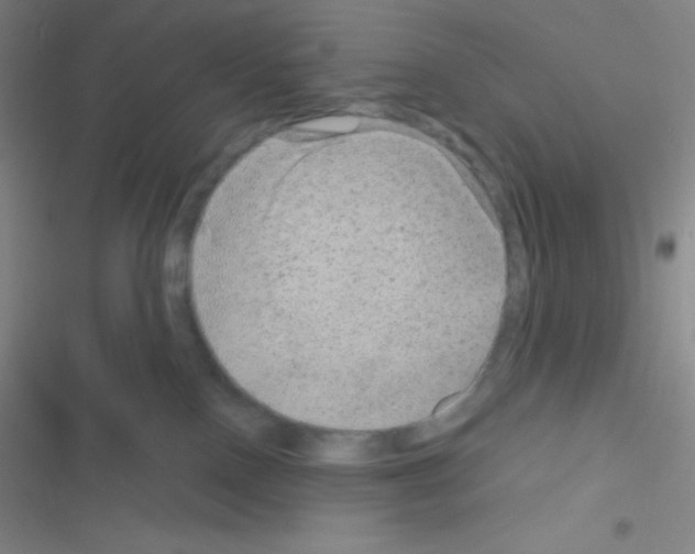 X0000116590090201001211335